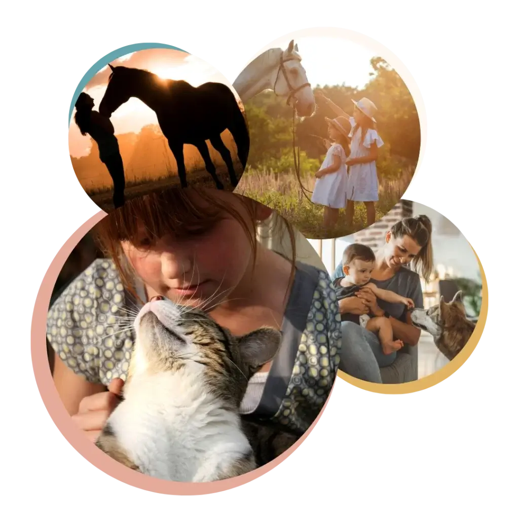 Tu es gardien ou propriétaire d'un animal ? Tu es perdu, tu ne sais plus quoi faire face à ses comportements ? Il est agressif, il fait de la surprotection ou protection de ressource, il aboie des que tu quittes ton appartement ? Réserve vite ton accompagnement Anim'Âme et découvre les bienfaits de la kinésiologie humaine et animale à Puteaux.